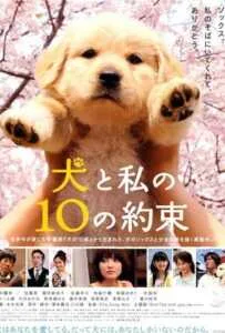 10 Promises to My Dog (2008) 10 ข้อสัญญาน้องหมาของฉัน