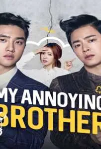 My Annoying Brother (2016)